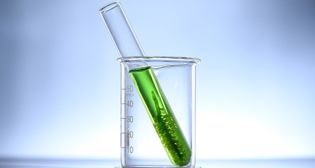algae-bloom-4402812_640